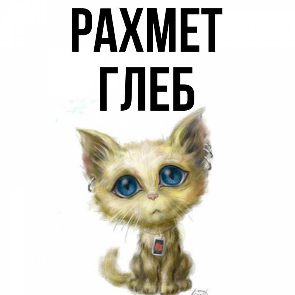 Күн сайын ашық хат с именем, Глеб рахмет рисованный кот благодарит вас Онлайн тегін жүктеп алу тілектері бар керемет карта 