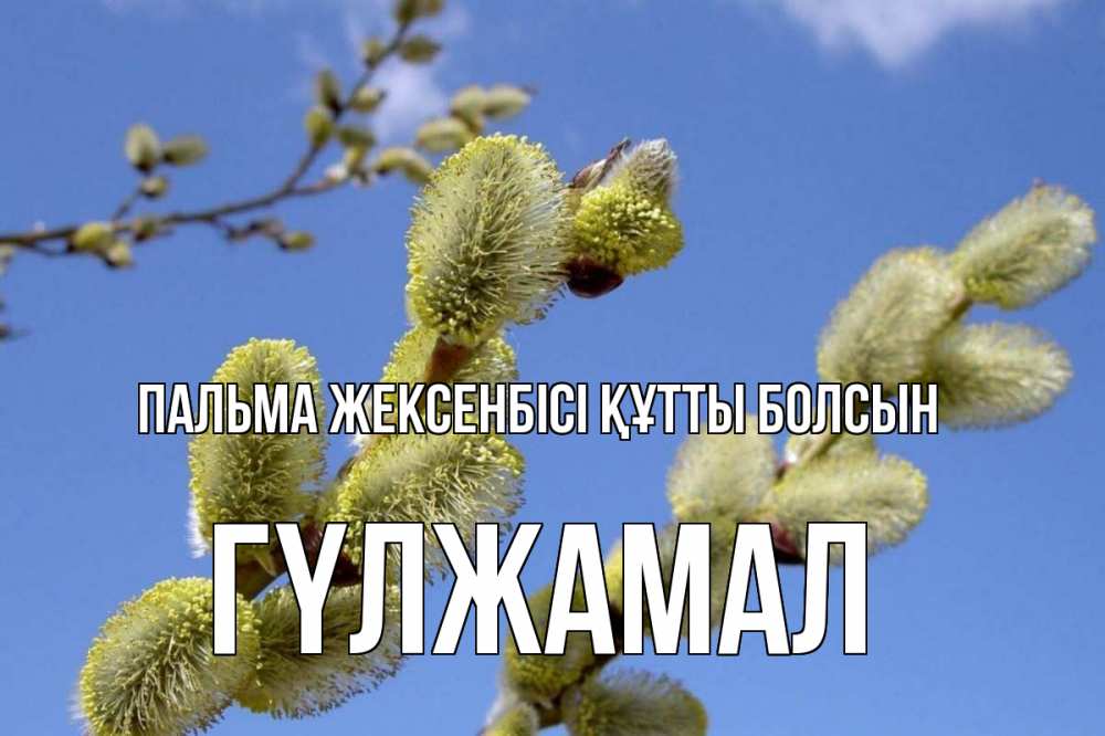 Күн сайын ашық хат с именем, ГҮЛЖАМАЛ Пальма жексенбісі құтты болсын верба Онлайн тегін жүктеп алу тілектері бар керемет карта 