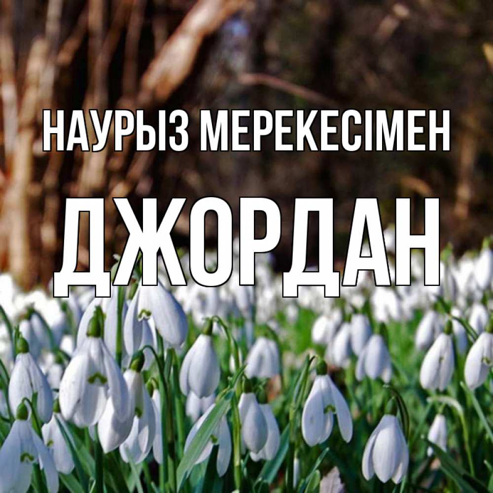 Күн сайын ашық хат с именем, Джордан Наурыз мерекесімен с подснежниками 1 Онлайн тегін жүктеп алу тілектері бар керемет карта 
