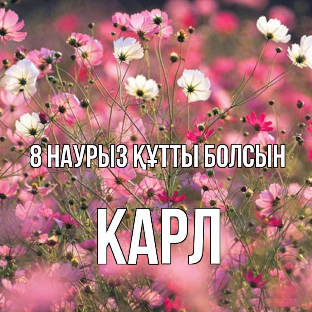 Күн сайын ашық хат с именем, Карл 8 наурыз құтты болсын красиво 1 Онлайн тегін жүктеп алу тілектері бар керемет карта 