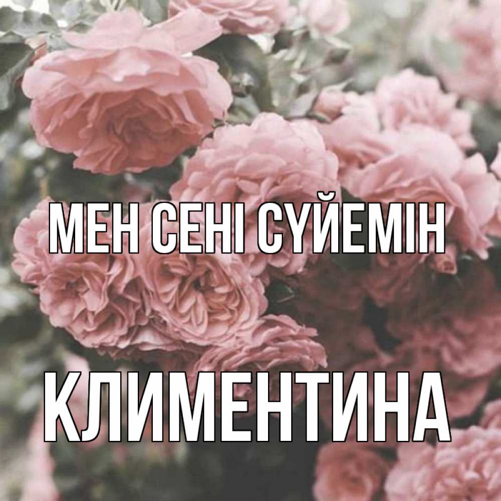 Күн сайын ашық хат с именем, Климентина Мен сені сүйемін розы 3 Онлайн тегін жүктеп алу тілектері бар керемет карта 