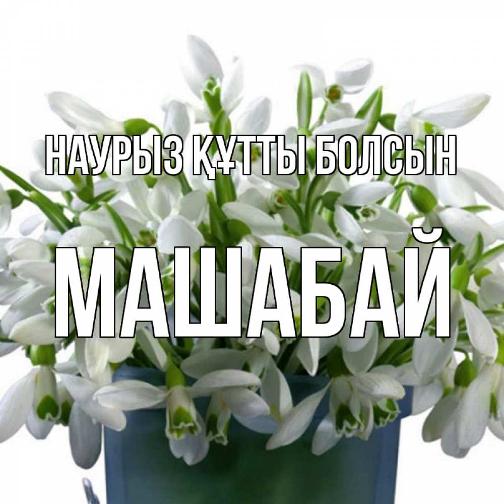 Күн сайын ашық хат с именем, МАШАБАЙ Наурыз құтты болсын цветы к наурызу Онлайн тегін жүктеп алу тілектері бар керемет карта 