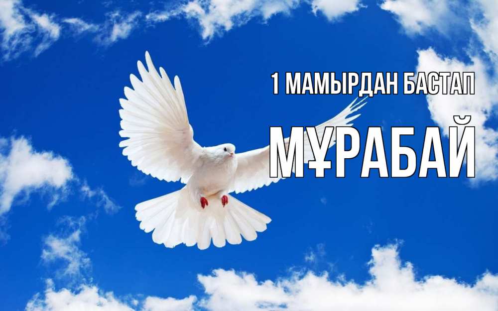 Күн сайын ашық хат с именем, МҰРАБАЙ 1 мамырдан бастап С 1 мая 1 Онлайн тегін жүктеп алу тілектері бар керемет карта 