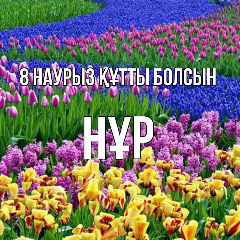Күн сайын ашық хат с именем, НҰР 8 наурыз құтты болсын цветы Онлайн тегін жүктеп алу тілектері бар керемет карта 