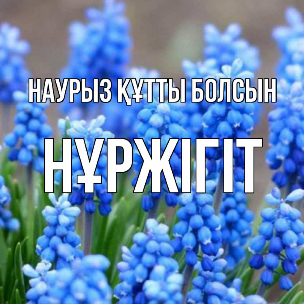 Күн сайын ашық хат с именем, НҰРЖІГІТ Наурыз құтты болсын Поздравительная открытка для женщин с цветами на праздничную дату Онлайн тегін жүктеп алу тілектері бар керемет карта 