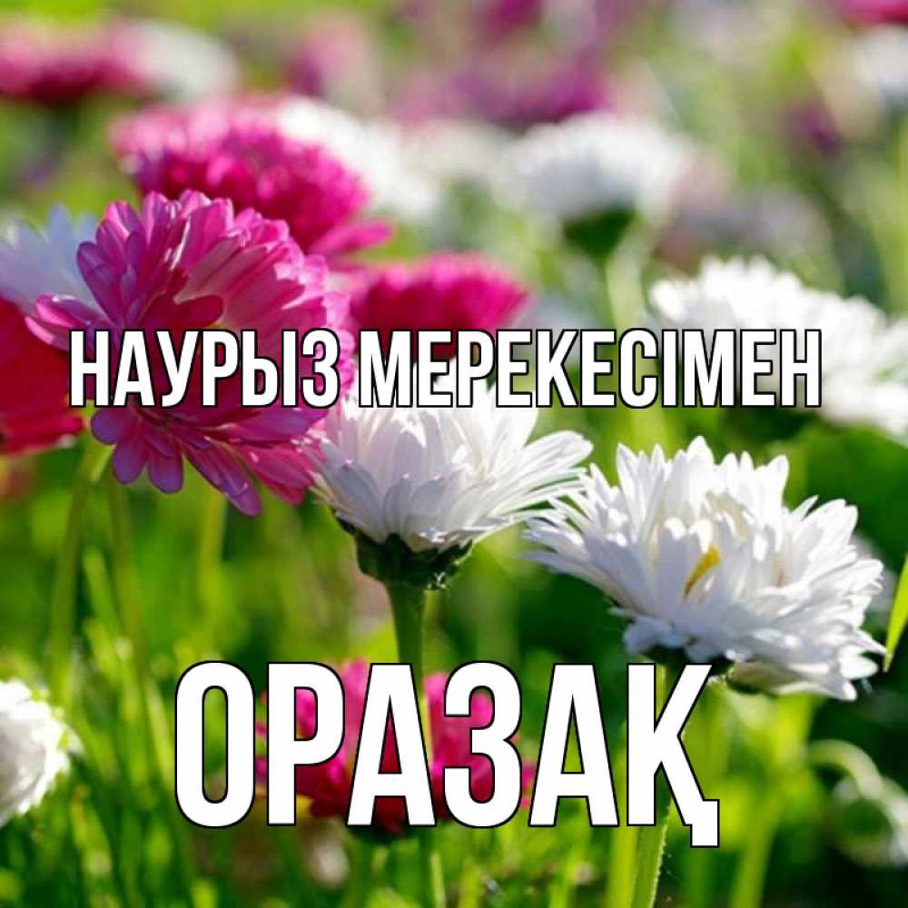Күн сайын ашық хат с именем, ОРАЗАҚ Наурыз мерекесімен праздник весны наурыз красота Онлайн тегін жүктеп алу тілектері бар керемет карта 
