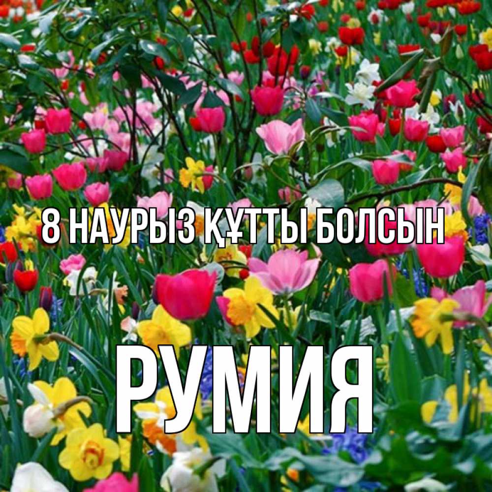Күн сайын ашық хат с именем, Румия 8 наурыз құтты болсын с международным женским днем поздравления для женщины Онлайн тегін жүктеп алу тілектері бар керемет карта 