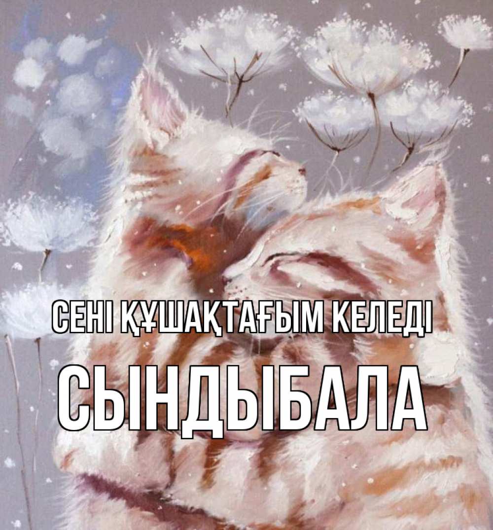Күн сайын ашық хат с именем, СЫНДЫБАЛА сені құшақтағым келеді Море и горы Онлайн тегін жүктеп алу тілектері бар керемет карта 