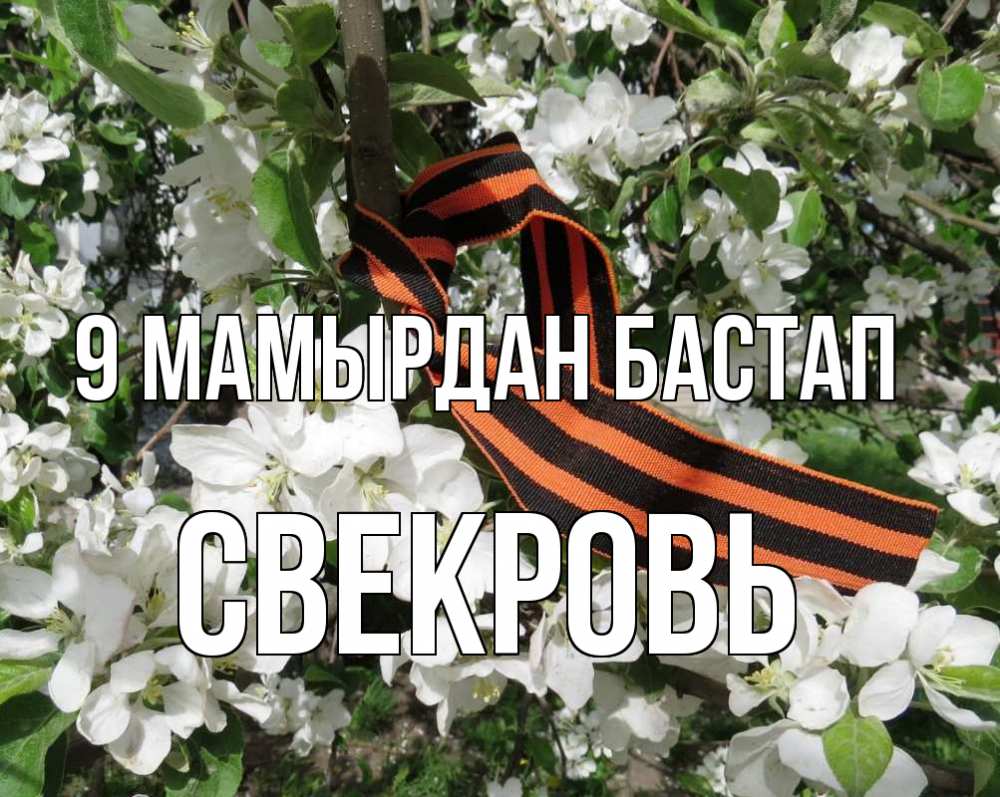 Күн сайын ашық хат с именем, Свекровь 9 мамырдан бастап 9 мая Онлайн тегін жүктеп алу тілектері бар керемет карта 