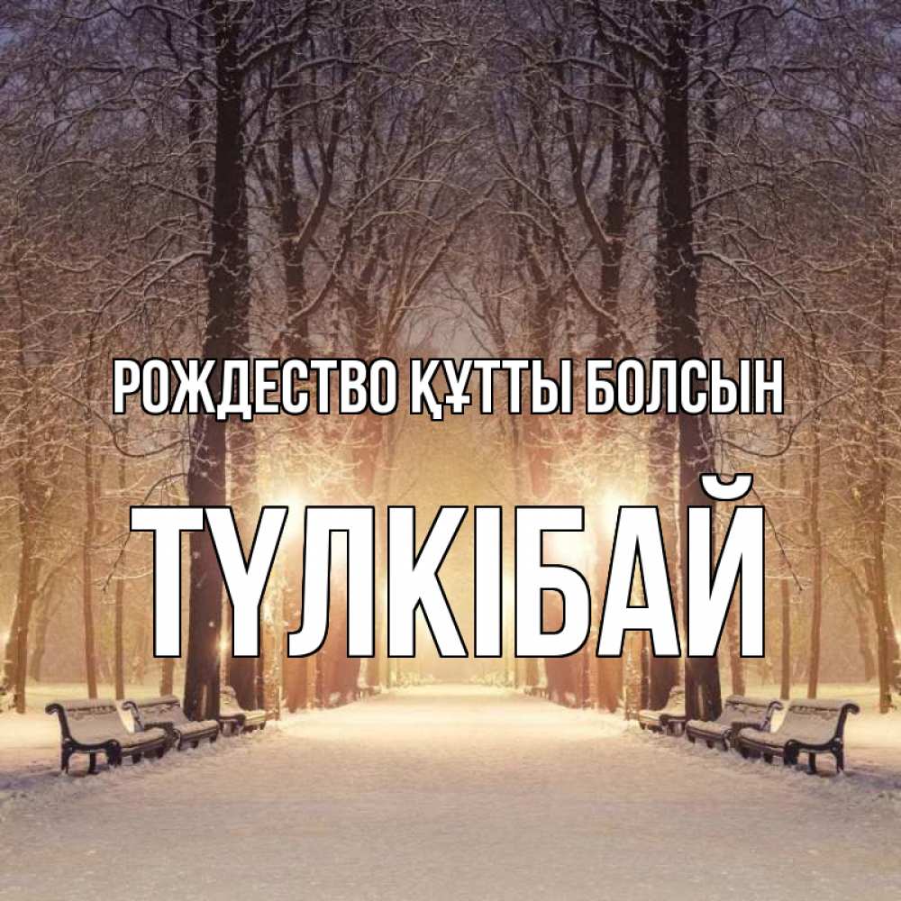 Күн сайын ашық хат с именем, ТҮЛКІБАЙ Рождество құтты болсын зима, парк, фонарь, лес Онлайн тегін жүктеп алу тілектері бар керемет карта 