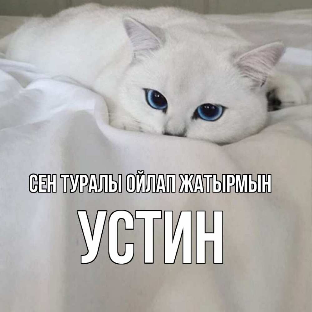 Күн сайын ашық хат с именем, Устин Сен туралы ойлап жатырмын я очень по тебе скучаю и тоскую Онлайн тегін жүктеп алу тілектері бар керемет карта 