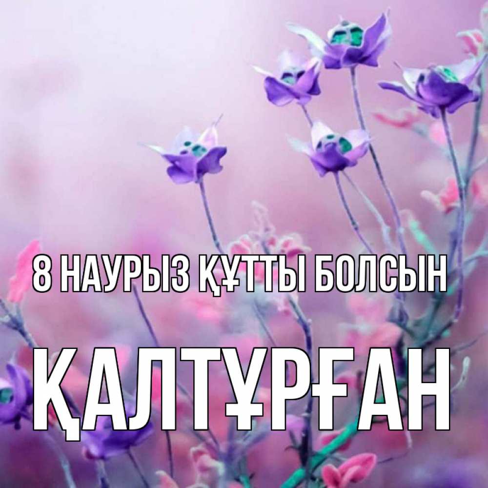 Күн сайын ашық хат с именем, ҚАЛТҰРҒАН 8 наурыз құтты болсын международный женский день 2 Онлайн тегін жүктеп алу тілектері бар керемет карта 