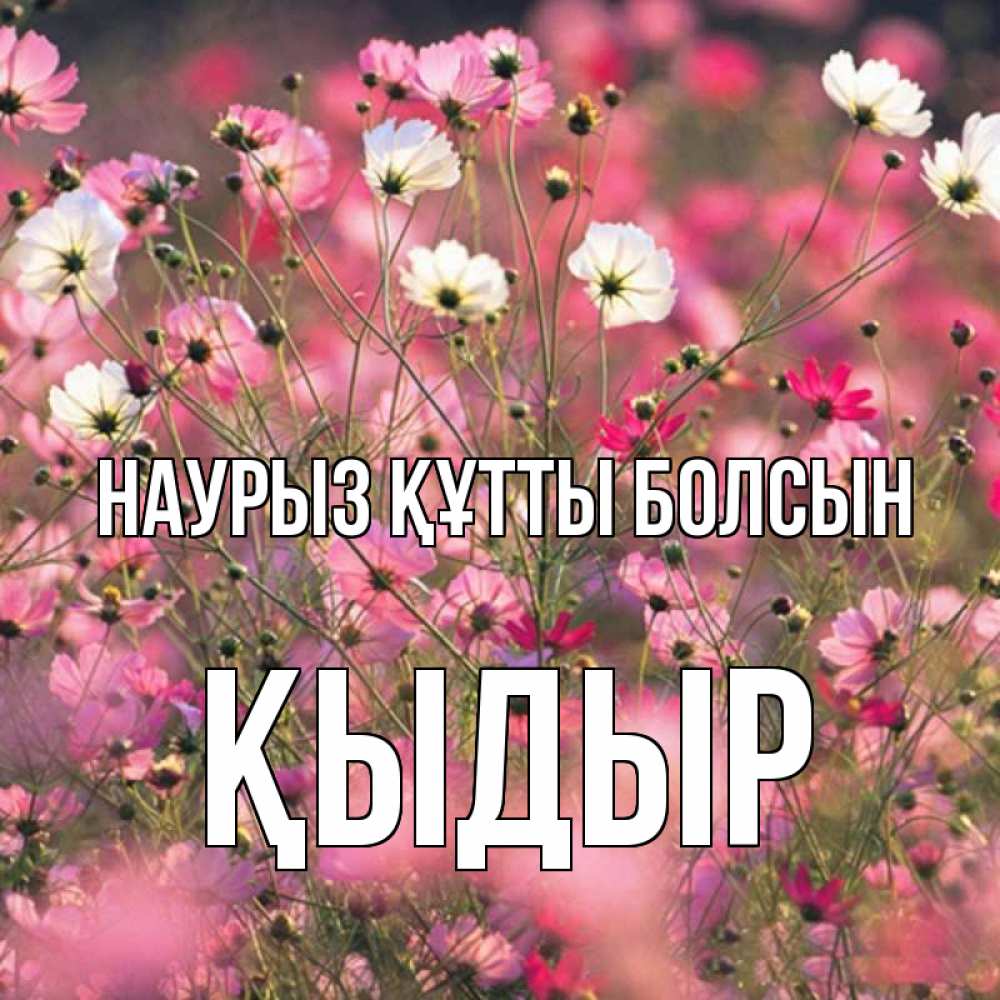 Күн сайын ашық хат с именем, ҚЫДЫР Наурыз құтты болсын красиво 1 Онлайн тегін жүктеп алу тілектері бар керемет карта 