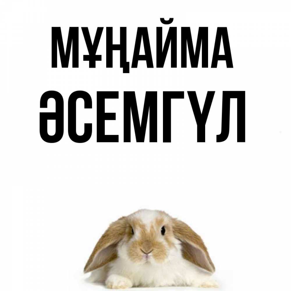 Күн сайын ашық хат с именем, ӘСЕМГҮЛ Мұңайма коричнево белый заяц с большими ушками Онлайн тегін жүктеп алу тілектері бар керемет карта 