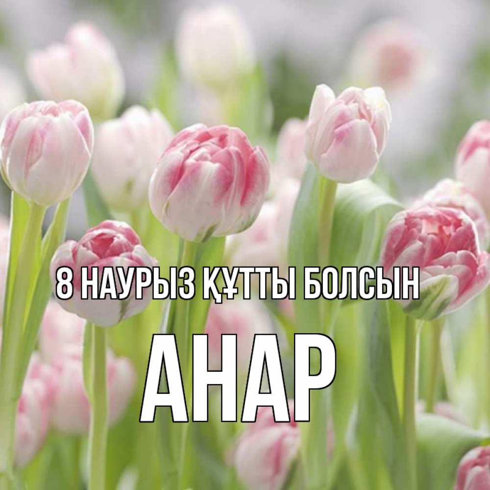 Күн сайын ашық хат с именем, АНАР 8 наурыз құтты болсын цветы Онлайн тегін жүктеп алу тілектері бар керемет карта 