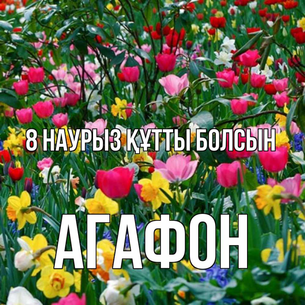Күн сайын ашық хат с именем, Агафон 8 наурыз құтты болсын с международным женским днем поздравления для женщины Онлайн тегін жүктеп алу тілектері бар керемет карта 