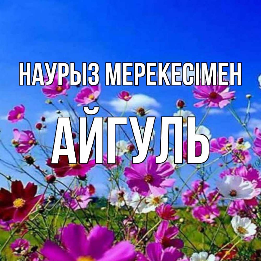 Күн сайын ашық хат с именем, Айгуль Наурыз мерекесімен цветы Онлайн тегін жүктеп алу тілектері бар керемет карта 