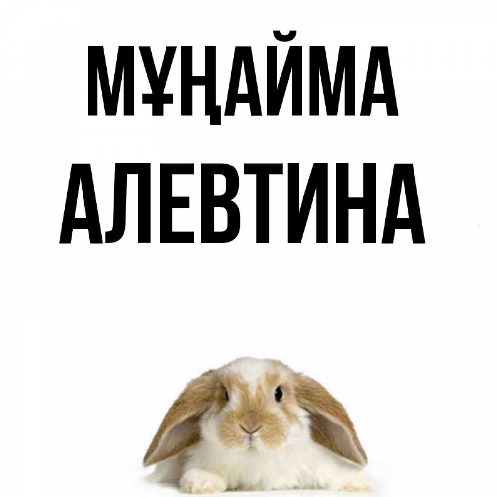 Күн сайын ашық хат с именем, Алевтина Мұңайма коричнево белый заяц с большими ушками Онлайн тегін жүктеп алу тілектері бар керемет карта 