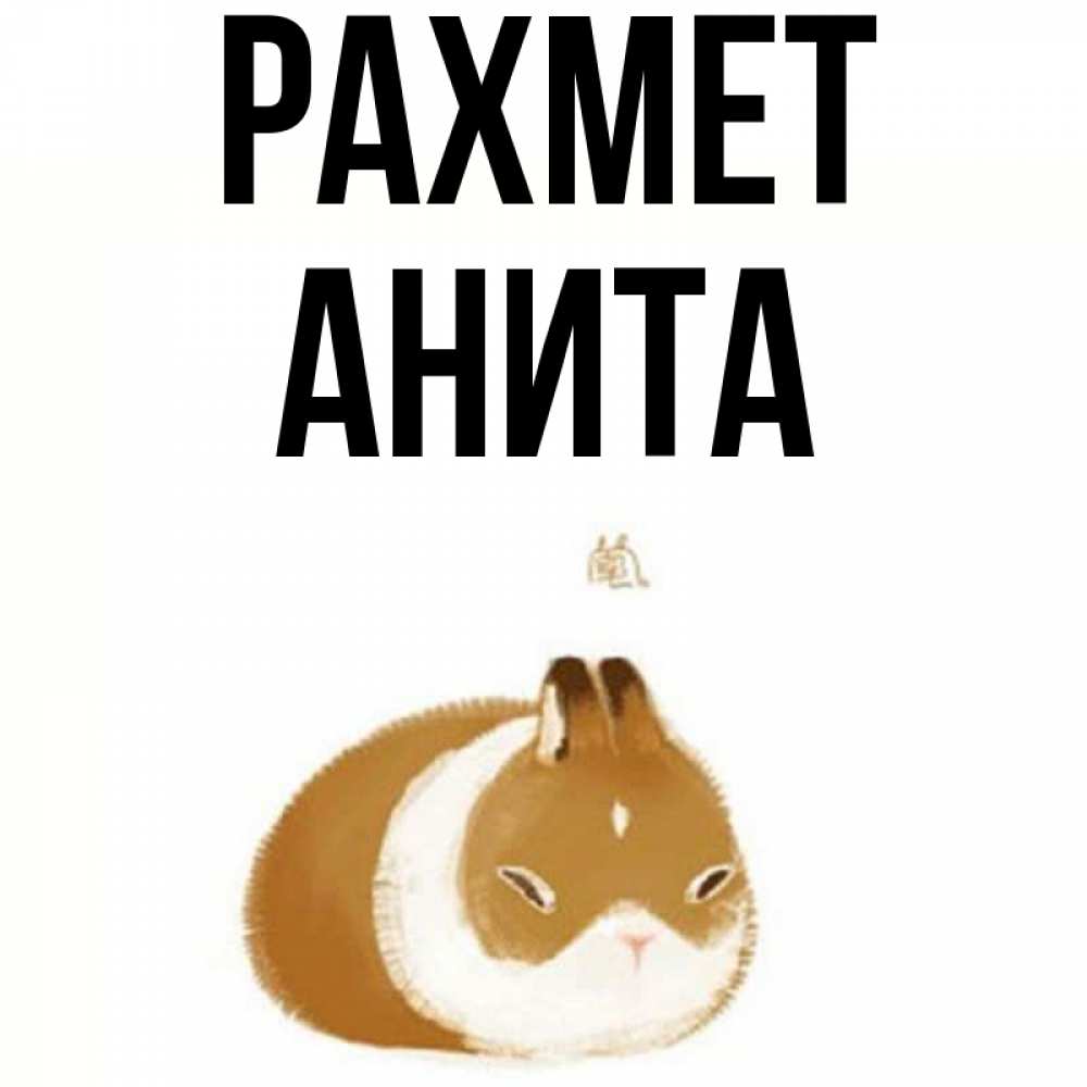 Күн сайын ашық хат с именем, Анита рахмет коричнево белый домашний питомец Онлайн тегін жүктеп алу тілектері бар керемет карта 