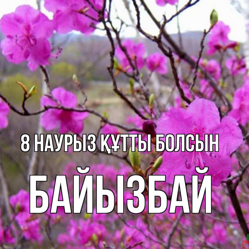 Күн сайын ашық хат с именем, Байызбай 8 наурыз құтты болсын международный женский день Онлайн тегін жүктеп алу тілектері бар керемет карта 