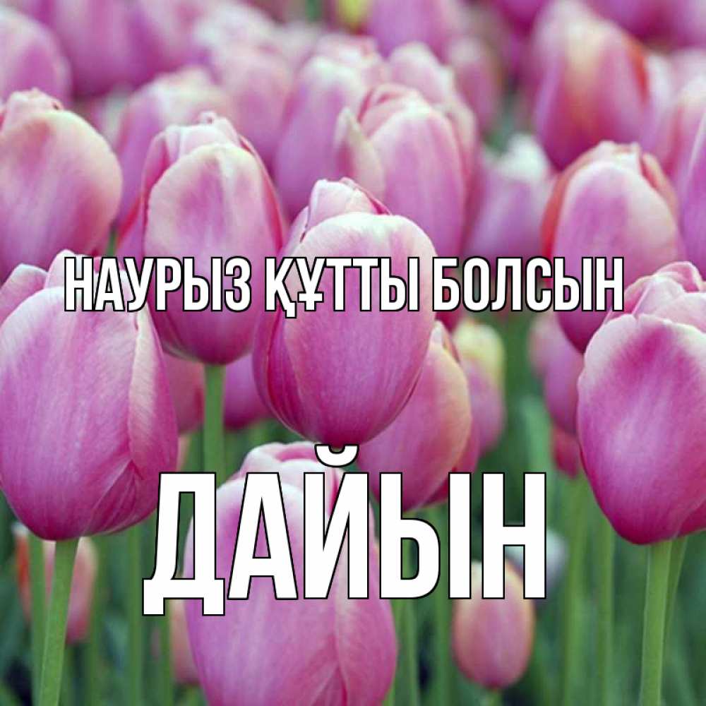 Күн сайын ашық хат с именем, Дайын Наурыз құтты болсын на наурыз  день 3 Онлайн тегін жүктеп алу тілектері бар керемет карта 