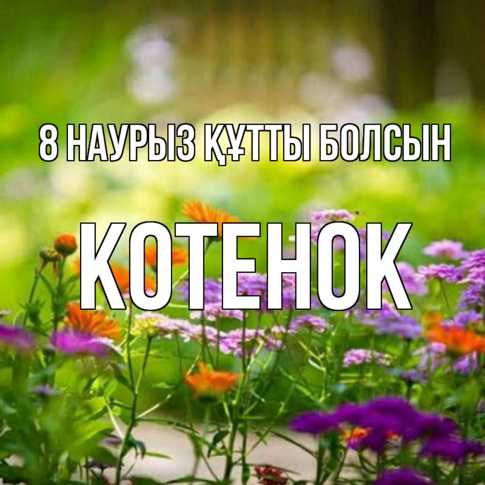 Күн сайын ашық хат с именем, Котенок 8 наурыз құтты болсын цветы Онлайн тегін жүктеп алу тілектері бар керемет карта 