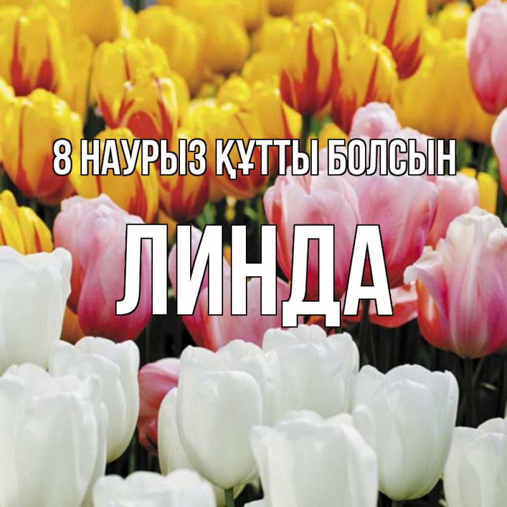 Күн сайын ашық хат с именем, Линда 8 наурыз құтты болсын разноцветные цветы Онлайн тегін жүктеп алу тілектері бар керемет карта 