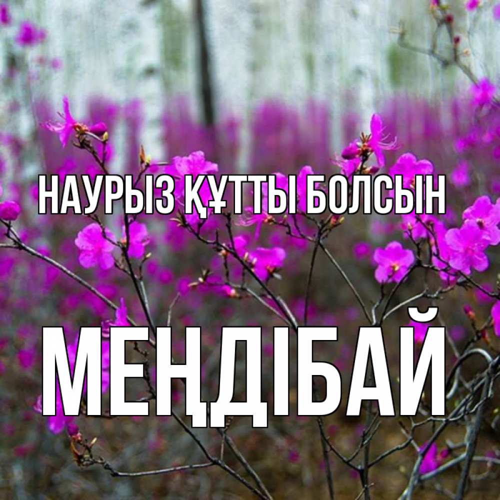 Күн сайын ашық хат с именем, МЕҢДІБАЙ Наурыз құтты болсын дикие цветы Онлайн тегін жүктеп алу тілектері бар керемет карта 