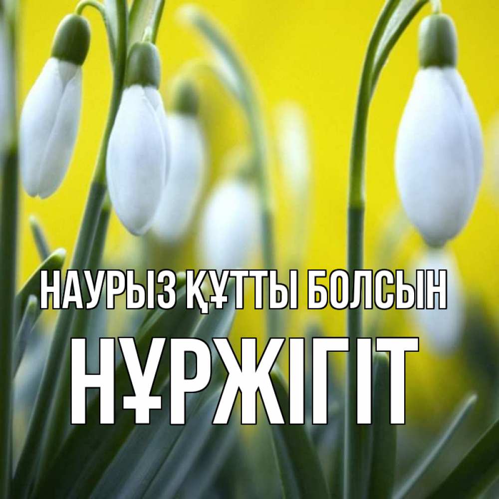 Күн сайын ашық хат с именем, НҰРЖІГІТ Наурыз құтты болсын весенние цветы Онлайн тегін жүктеп алу тілектері бар керемет карта 