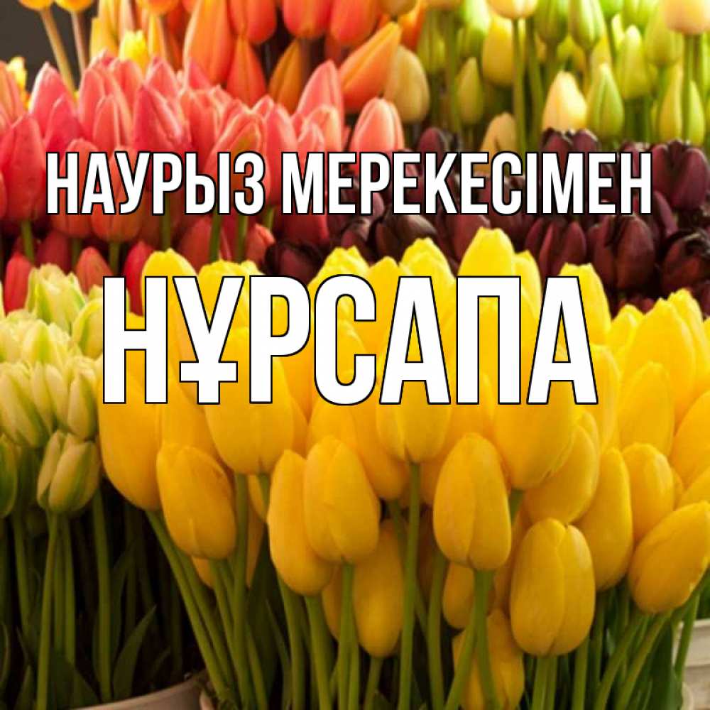 Күн сайын ашық хат с именем, НҰРСАПА Наурыз мерекесімен цветы Онлайн тегін жүктеп алу тілектері бар керемет карта 