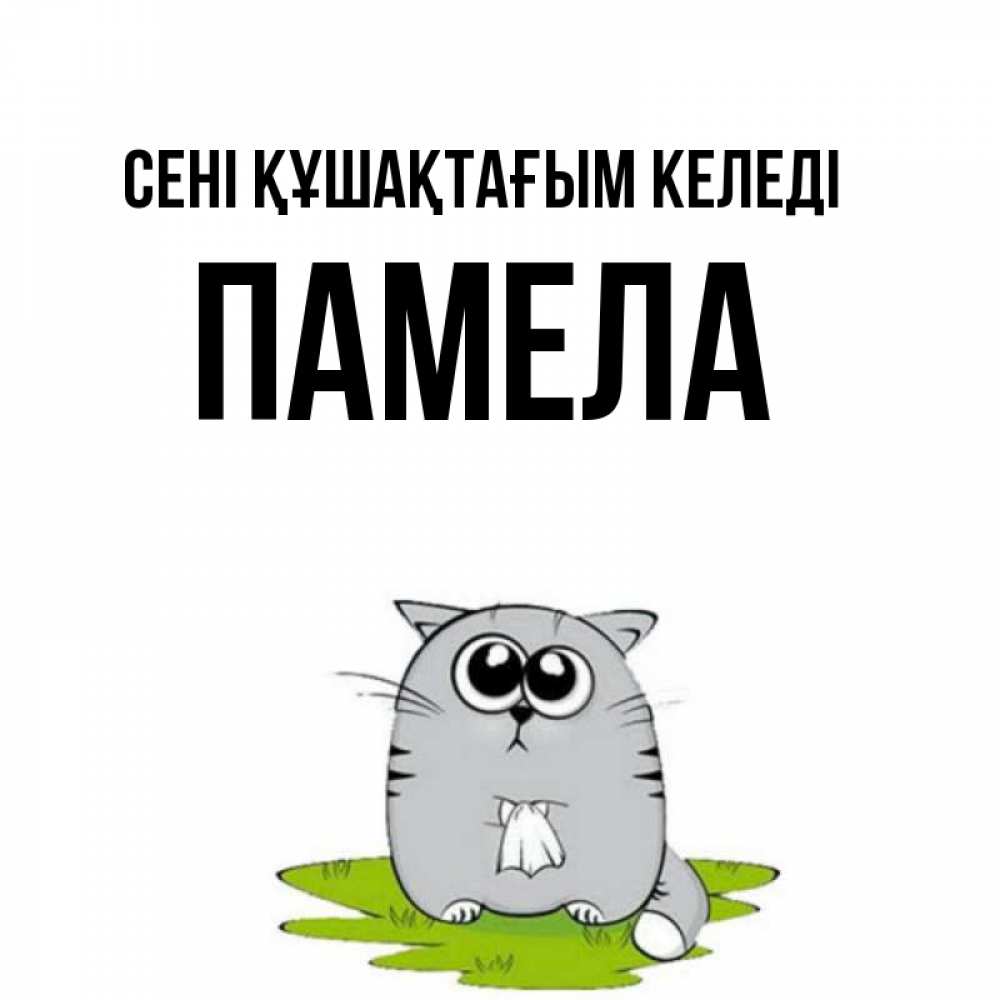 Күн сайын ашық хат с именем, Памела сені құшақтағым келеді котик теребит платочек сидя на травке Онлайн тегін жүктеп алу тілектері бар керемет карта 