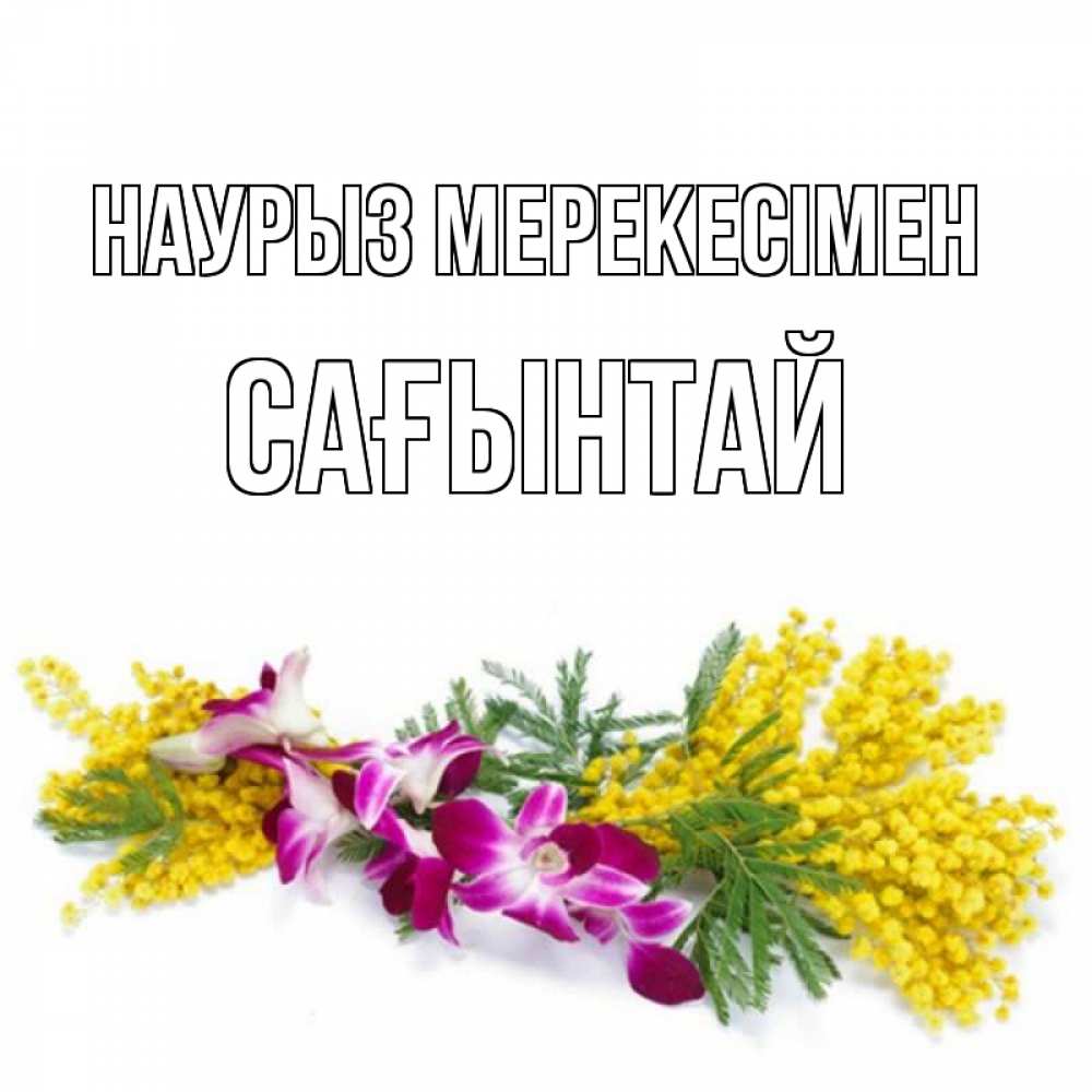 Күн сайын ашық хат с именем, Сағынтай Наурыз мерекесімен открытка на международный женский день с цветами  1 Онлайн тегін жүктеп алу тілектері бар керемет карта 
