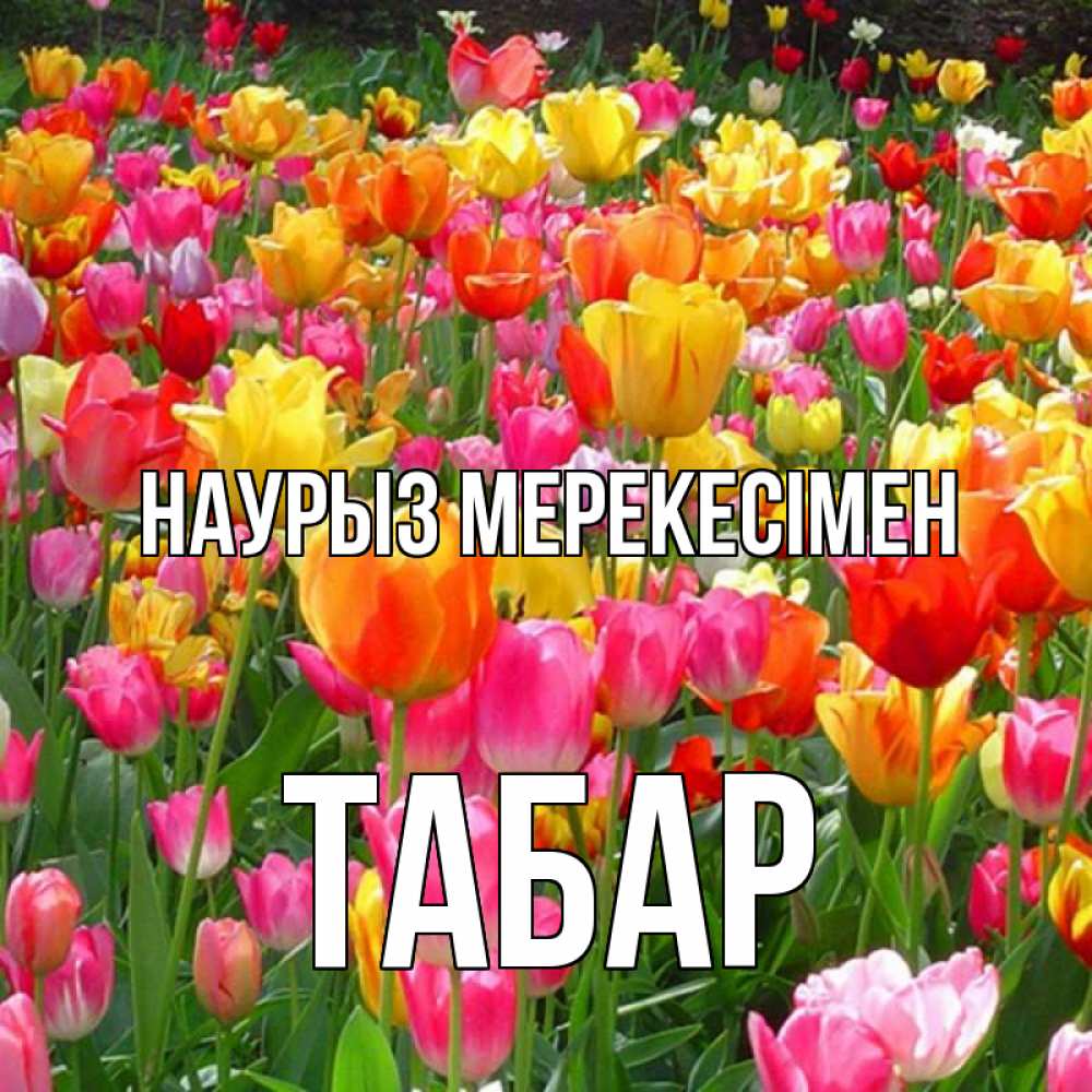 Күн сайын ашық хат с именем, ТАБАР Наурыз мерекесімен праздник весны наурыз 4 Онлайн тегін жүктеп алу тілектері бар керемет карта 