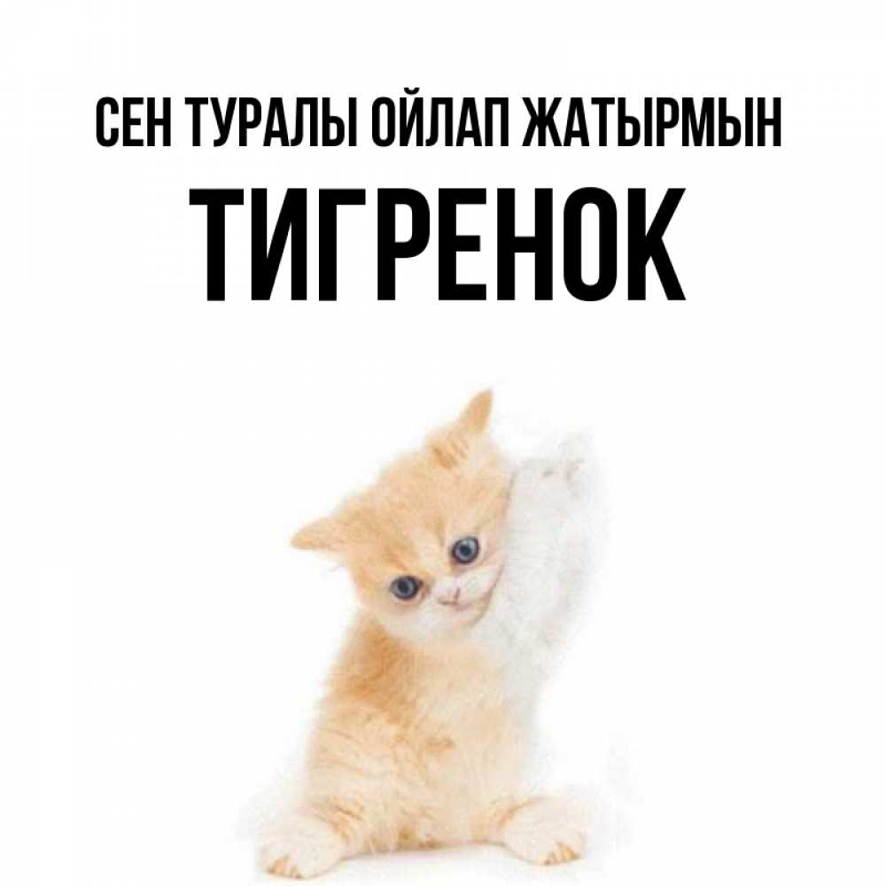 Күн сайын ашық хат с именем, Тигренок Сен туралы ойлап жатырмын зверушки и милота Онлайн тегін жүктеп алу тілектері бар керемет карта 