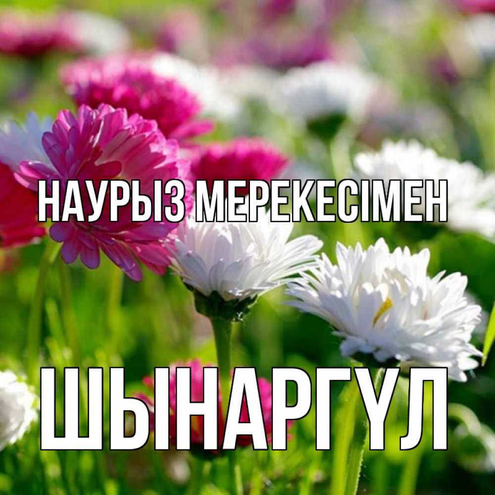Күн сайын ашық хат с именем, ШЫНАРГҮЛ Наурыз мерекесімен праздник весны наурыз красота Онлайн тегін жүктеп алу тілектері бар керемет карта 