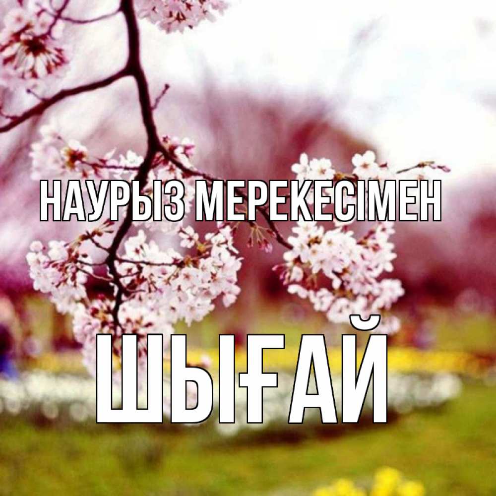 Күн сайын ашық хат с именем, ШЫҒАЙ Наурыз мерекесімен яблоня Онлайн тегін жүктеп алу тілектері бар керемет карта 