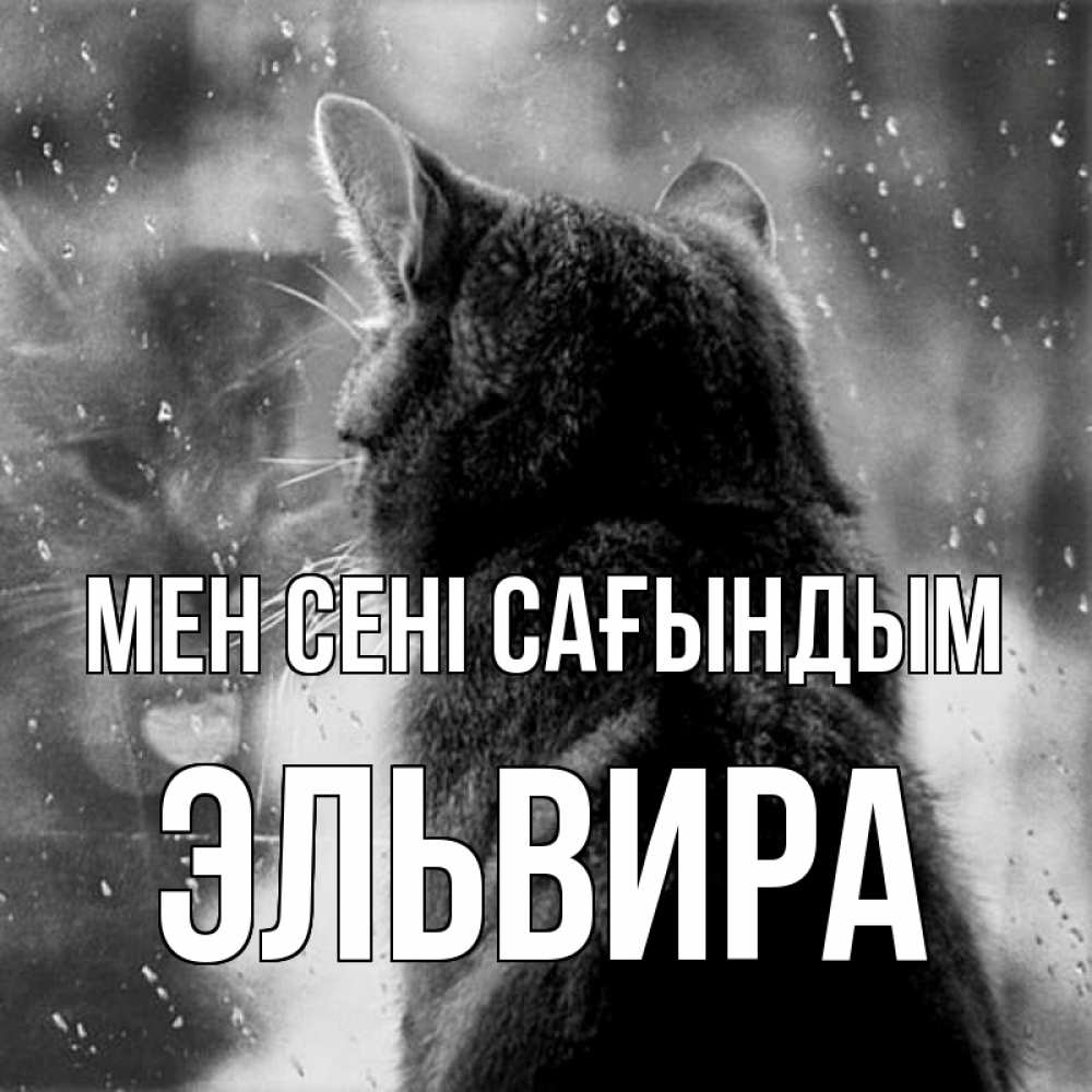 Күн сайын ашық хат с именем, Эльвира Мен сені сағындым скорее ко мне приходи 1 Онлайн тегін жүктеп алу тілектері бар керемет карта 