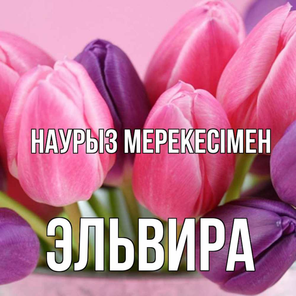 Күн сайын ашық хат с именем, Эльвира Наурыз мерекесімен маме 1 Онлайн тегін жүктеп алу тілектері бар керемет карта 