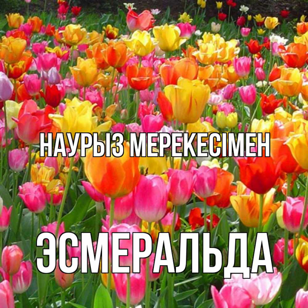 Күн сайын ашық хат с именем, Эсмеральда Наурыз мерекесімен праздник весны наурыз 4 Онлайн тегін жүктеп алу тілектері бар керемет карта 