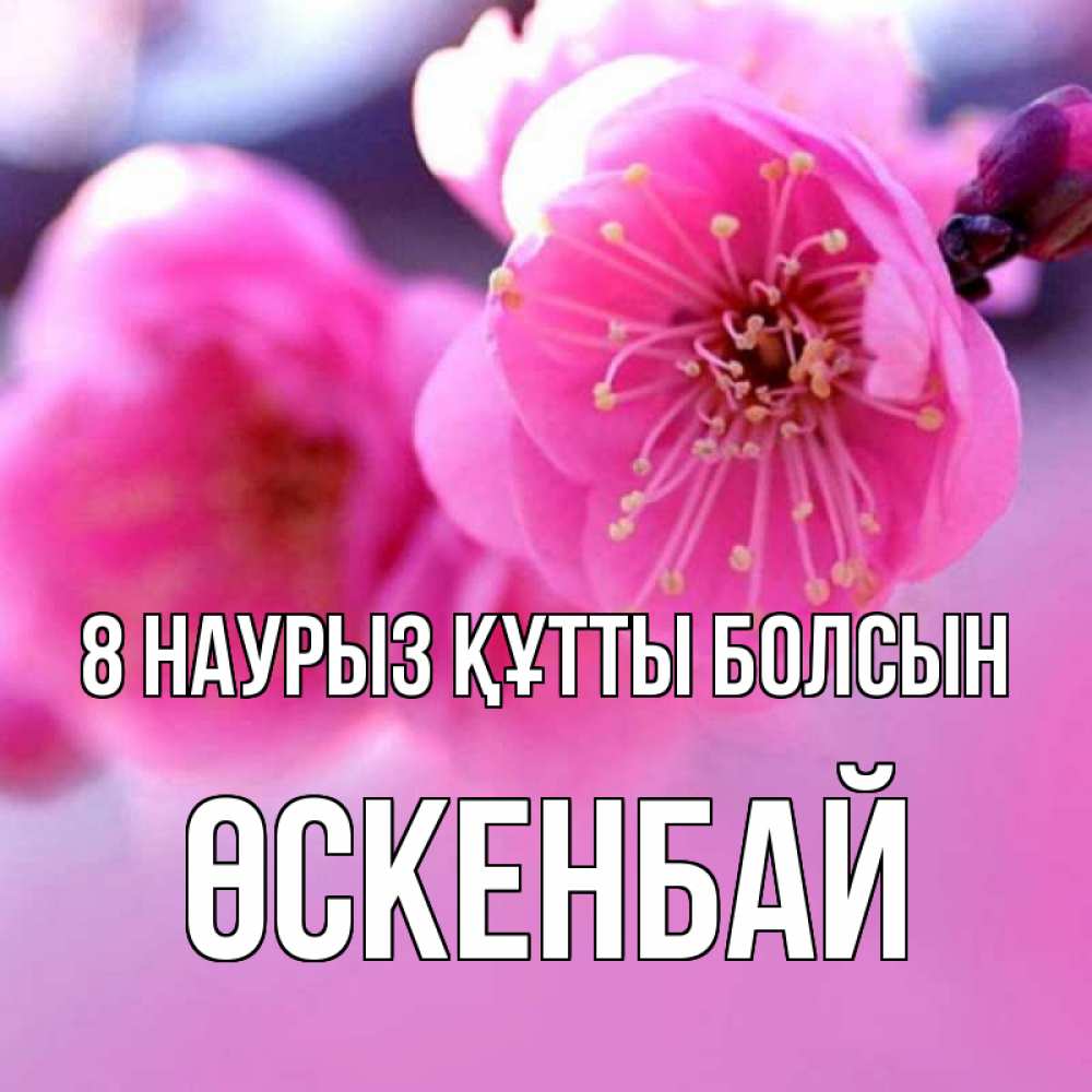 Күн сайын ашық хат с именем, ӨСКЕНБАЙ 8 наурыз құтты болсын международный женский день Онлайн тегін жүктеп алу тілектері бар керемет карта 