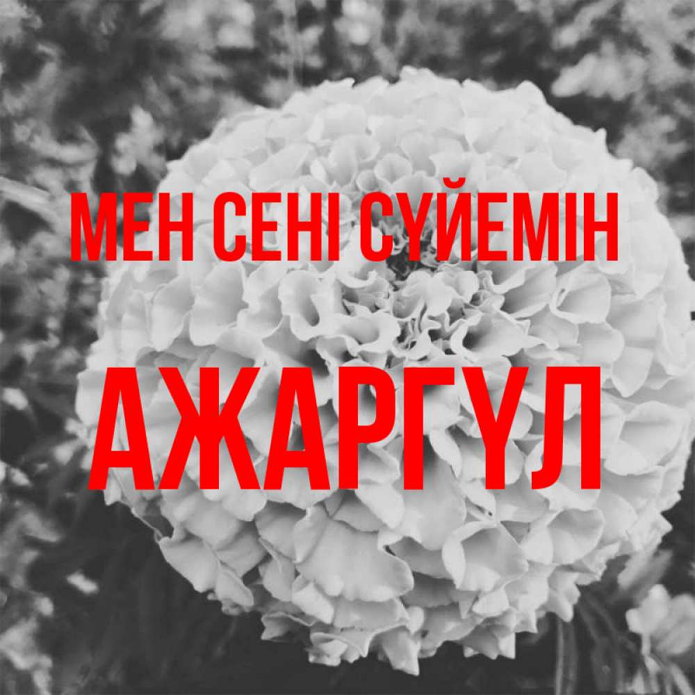 Күн сайын ашық хат с именем, АЖАРГҮЛ Мен сені сүйемін подпись Онлайн тегін жүктеп алу тілектері бар керемет карта 