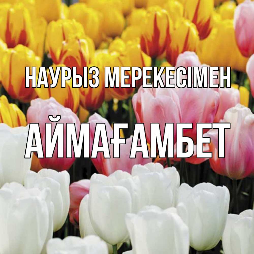 Күн сайын ашық хат с именем, Аймағамбет Наурыз мерекесімен разноцветные цветы Онлайн тегін жүктеп алу тілектері бар керемет карта 