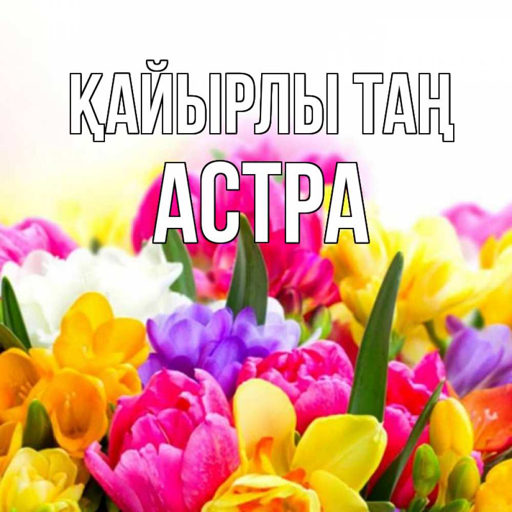 Күн сайын ашық хат с именем, Астра Қайырлы таң создать открытку со свое подписью Онлайн тегін жүктеп алу тілектері бар керемет карта 
