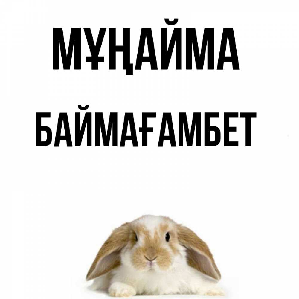 Күн сайын ашық хат с именем, Баймағамбет Мұңайма коричнево белый заяц с большими ушками Онлайн тегін жүктеп алу тілектері бар керемет карта 