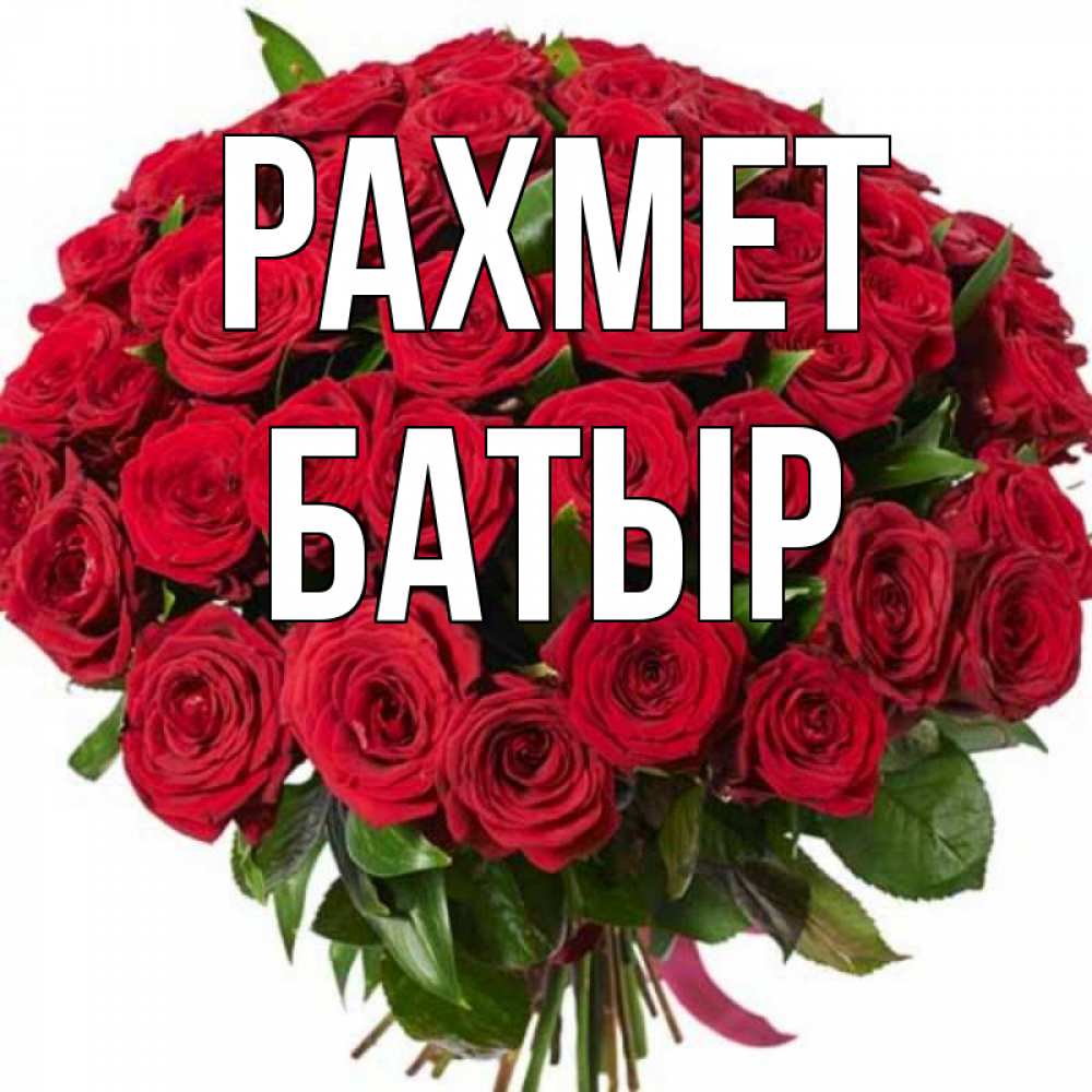 Күн сайын ашық хат с именем, Батыр рахмет букет красных роз Онлайн тегін жүктеп алу тілектері бар керемет карта 