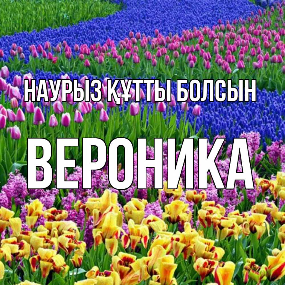 Күн сайын ашық хат с именем, Вероника Наурыз құтты болсын цветы Онлайн тегін жүктеп алу тілектері бар керемет карта 