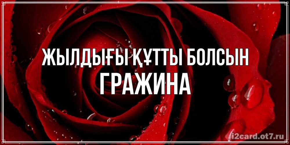 Күн сайын ашық хат с именем, Гражина Жылдығы құтты болсын крупная бордовая роза Онлайн тегін жүктеп алу тілектері бар керемет карта 