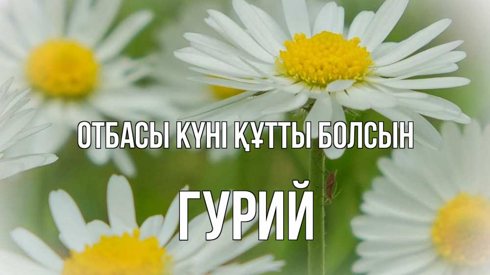Күн сайын ашық хат с именем, Гурий отбасы күні құтты болсын с днем семьи  1 Онлайн тегін жүктеп алу тілектері бар керемет карта 
