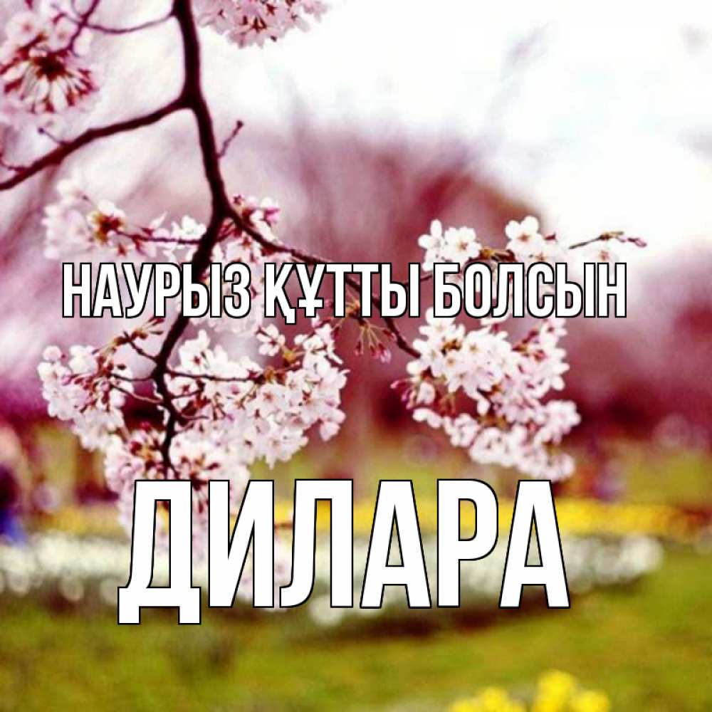 Күн сайын ашық хат с именем, Дилара Наурыз құтты болсын яблоня Онлайн тегін жүктеп алу тілектері бар керемет карта 