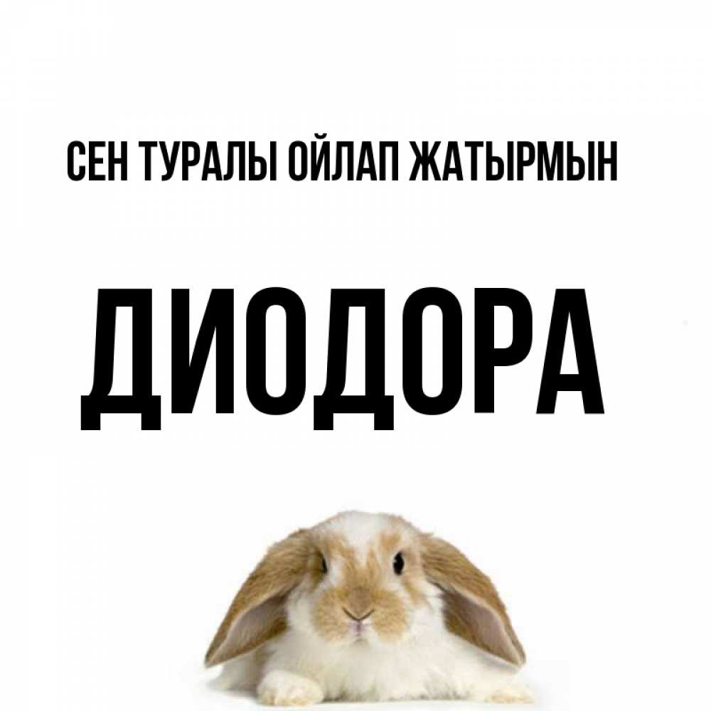 Күн сайын ашық хат с именем, Диодора Сен туралы ойлап жатырмын подписать своими руками онлайн Онлайн тегін жүктеп алу тілектері бар керемет карта 